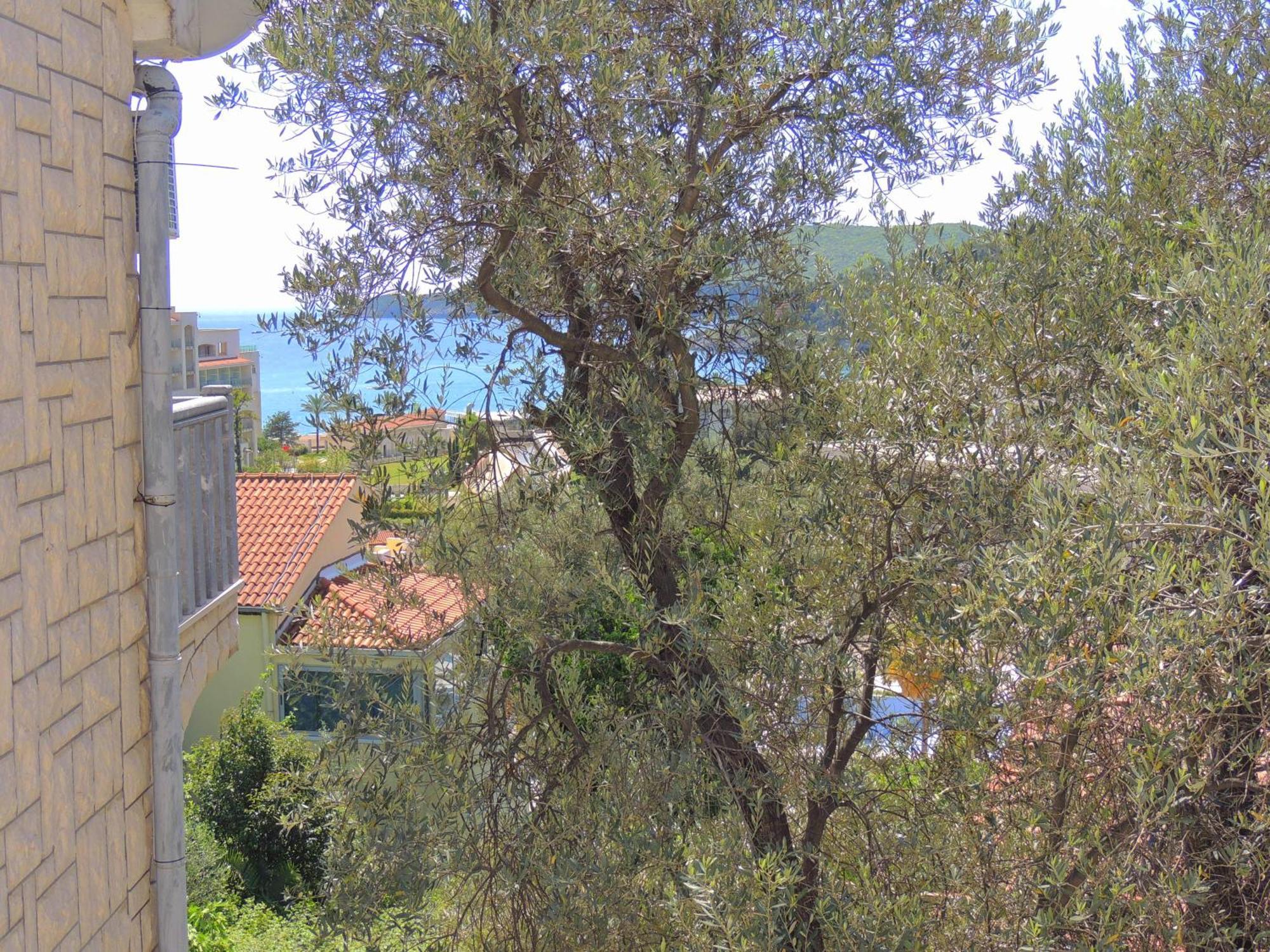 Rooms Villa Desa Budva Exterior foto